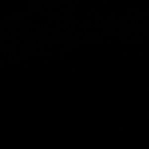 Meet your Posher, Annett